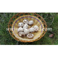 Weiße Blume Getrockneter Shiitake-Pilz Exportpreis für 1Kg Pack